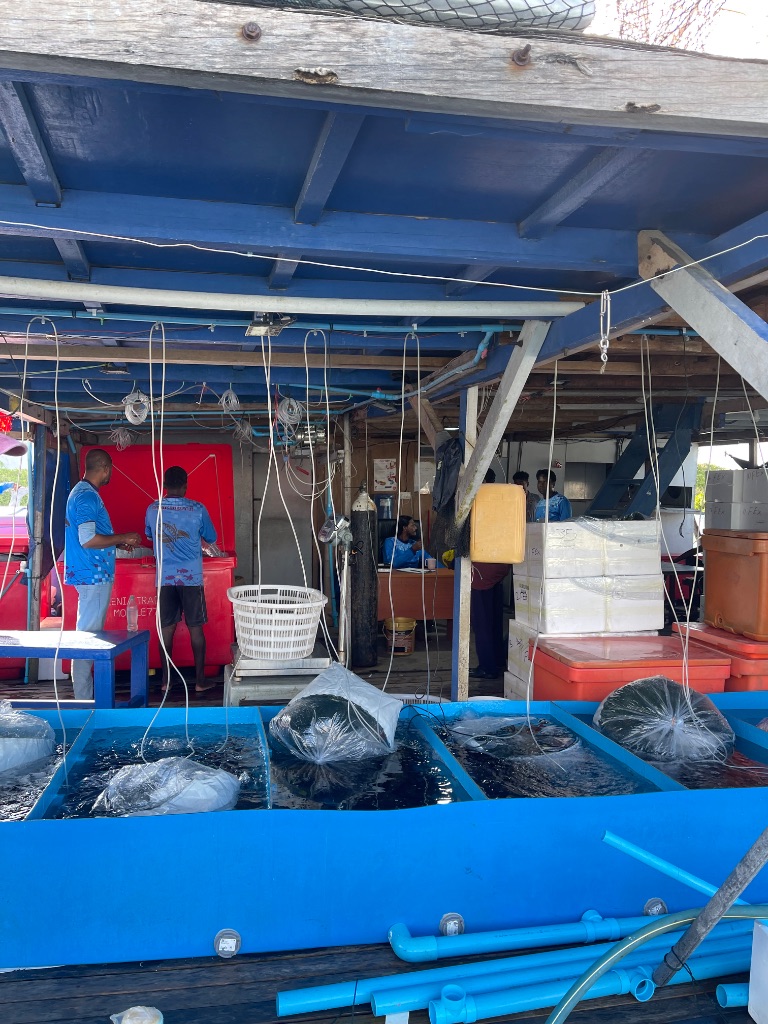 Professional Export Facility Operations