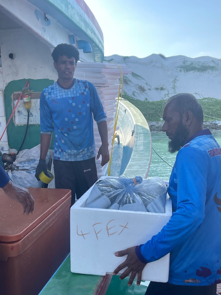 Fisherman's Express Professional Team